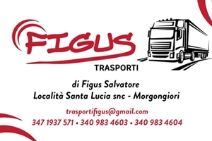 Logo-FIGUS AUTOTRASPORTI